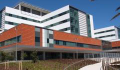 wellingtonHospitalPath